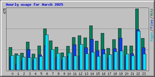 Hourly usage for March 2025