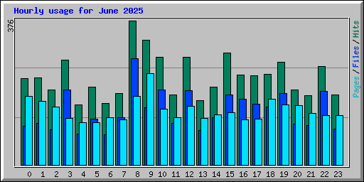 Hourly usage for June 2025
