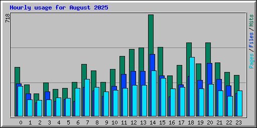 Hourly usage for August 2025
