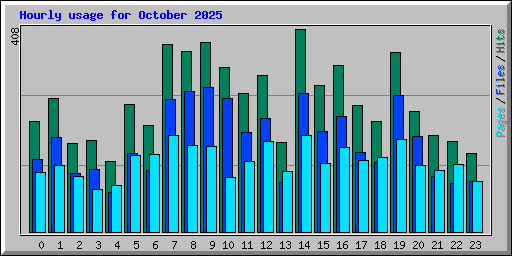 Hourly usage for October 2025