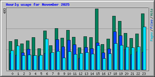 Hourly usage for November 2025