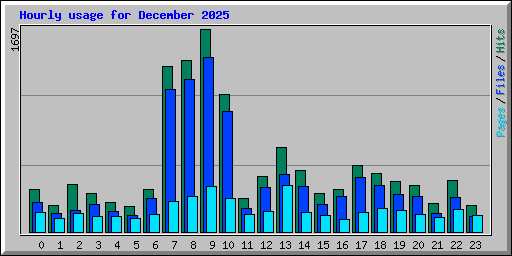 Hourly usage for December 2025