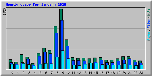 Hourly usage for January 2026
