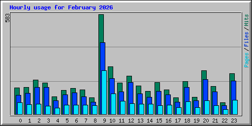 Hourly usage for February 2026